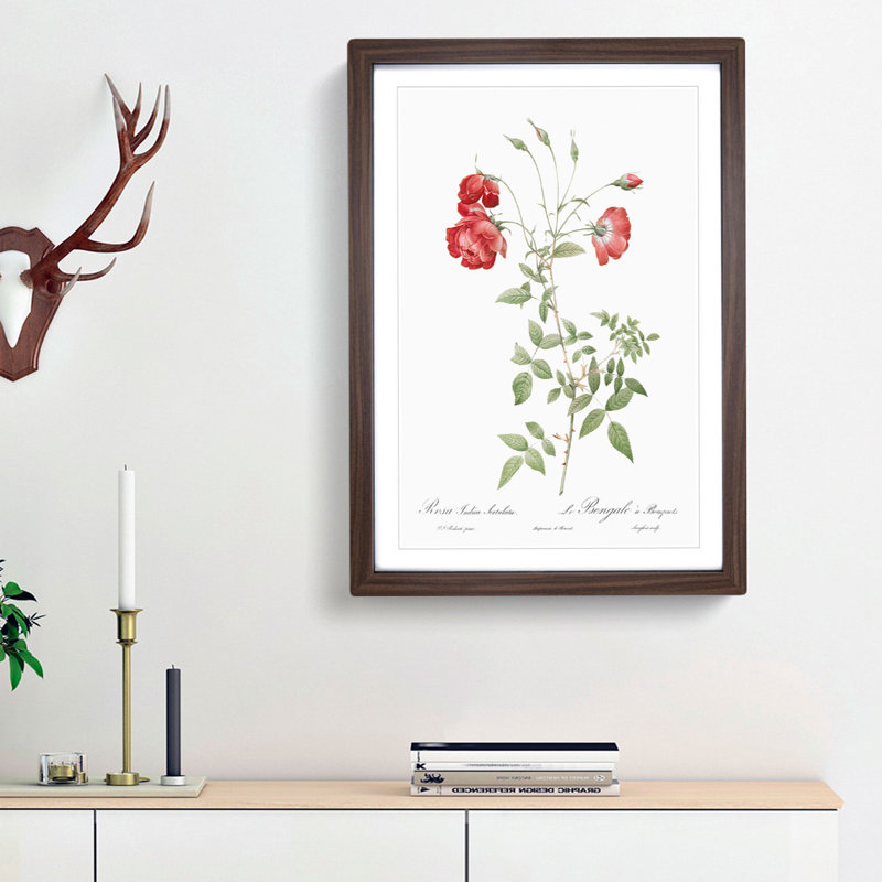 Red Roses by Pierre-Joseph Redoute - Picture Frame Painting Print, 65cm H x 48cm W x 2cm D, Walnut Framed