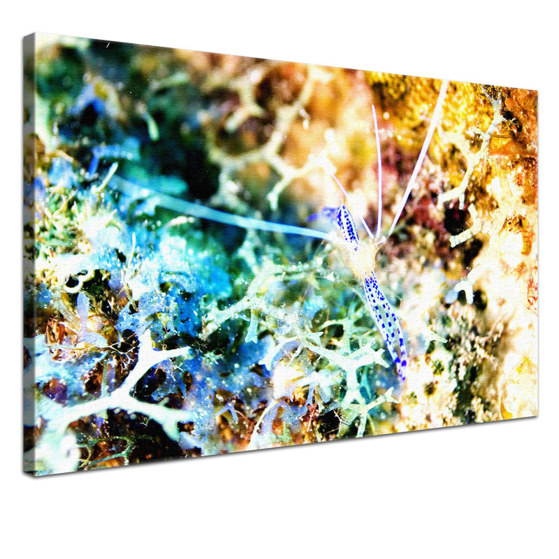 Print on Canvas, 100cm H x 150cm W x 2cm D