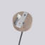 Wynnwood 6 - Light Chandelier-50959691