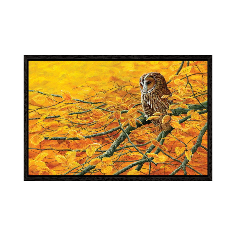 Golden Light Tawny Owl by Jeremy Paul - Painting on Canvas, Black Framed, 45.72cm H x 66.04cm W x 3.81cm D
