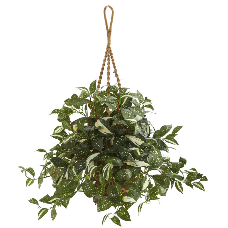 Plante ivy artificielle 26" en panier