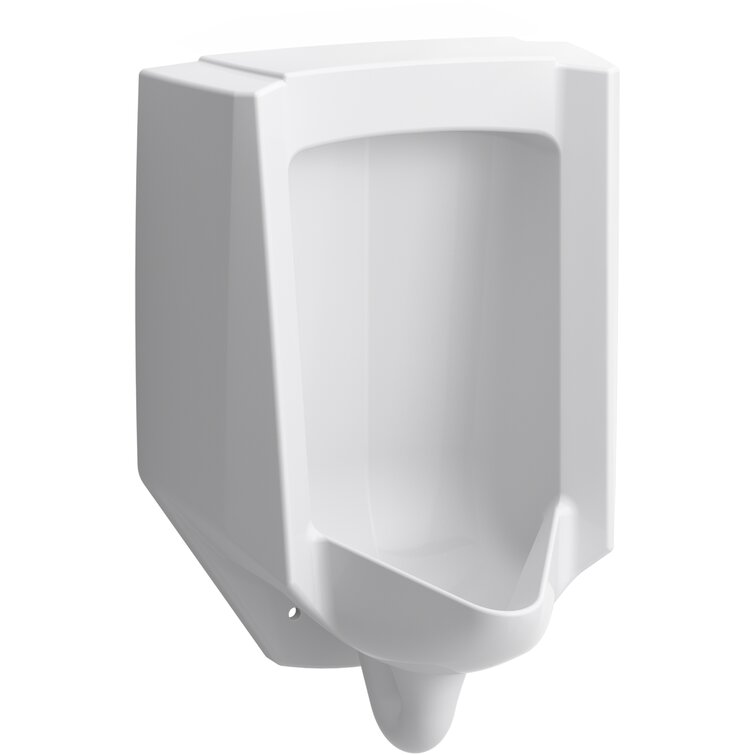 Kohler Urinoir à haute efficacité (HEU) Bardon ™, lavable, suspendu, 0,125  GPF à 1,0 GPF, spud arrière, antimicrobien - Wayfair Canada