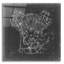 Art mural en verre acrylique «Moto» par Ethan Harper-2107530759
