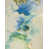 Rectangle 7'9" x 9'9"