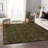 Premium Machine Washable Kishonna AMF43 Gilded Rug-1829148363