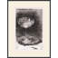 Cocktail Glass 1 Print-9410365