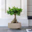 Fibreglass Plant Pot-39265644-39265647