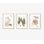 Ensemble de reproduction d'art Woodland - impressions sans cadre
