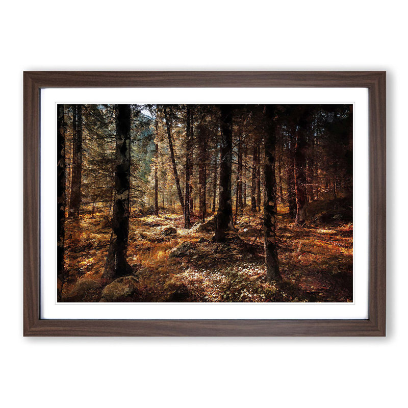 Within the Woods - Framed Print, 36cm H x 48cm W x 2cm D, Walnut Framed
