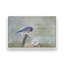 «Blessings» par Robin-Lee Vieira, reproduction d'art-2084398460-2084398458-2084398455