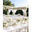 350pcs Clear Gold Plastic Plates - Clear Plastic Dinnerware Set
