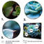 Bleu succulent serein-623036933-623036928