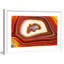 Single Picture Frame Print-20133833
