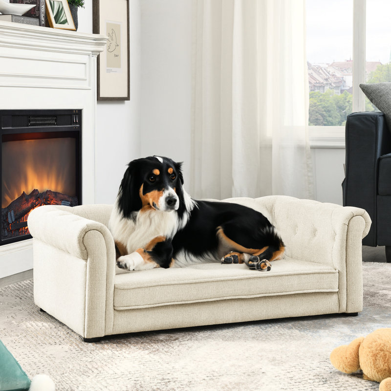 Lit élégant pour animaux de compagnie beige, confort pour chiens de taille moyenne et grande, fabrication beige moderne, matériau