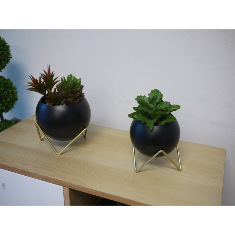 Ceramic Indoor Pot Planter, Black