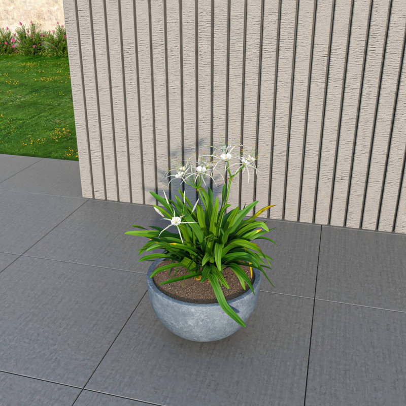 Pot à fleurs en argile TGO fabriqué à la main en forme de bol en Terstonna avec trous de drainage pour l'intérieur et l'extérieur