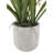 22.5" Artificial White Orchid in Vanda Pot