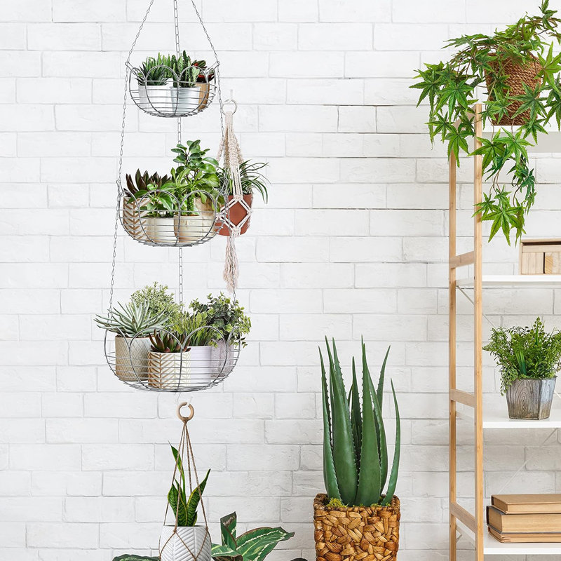 Modern 3-Tier Hanging Fruit Basket