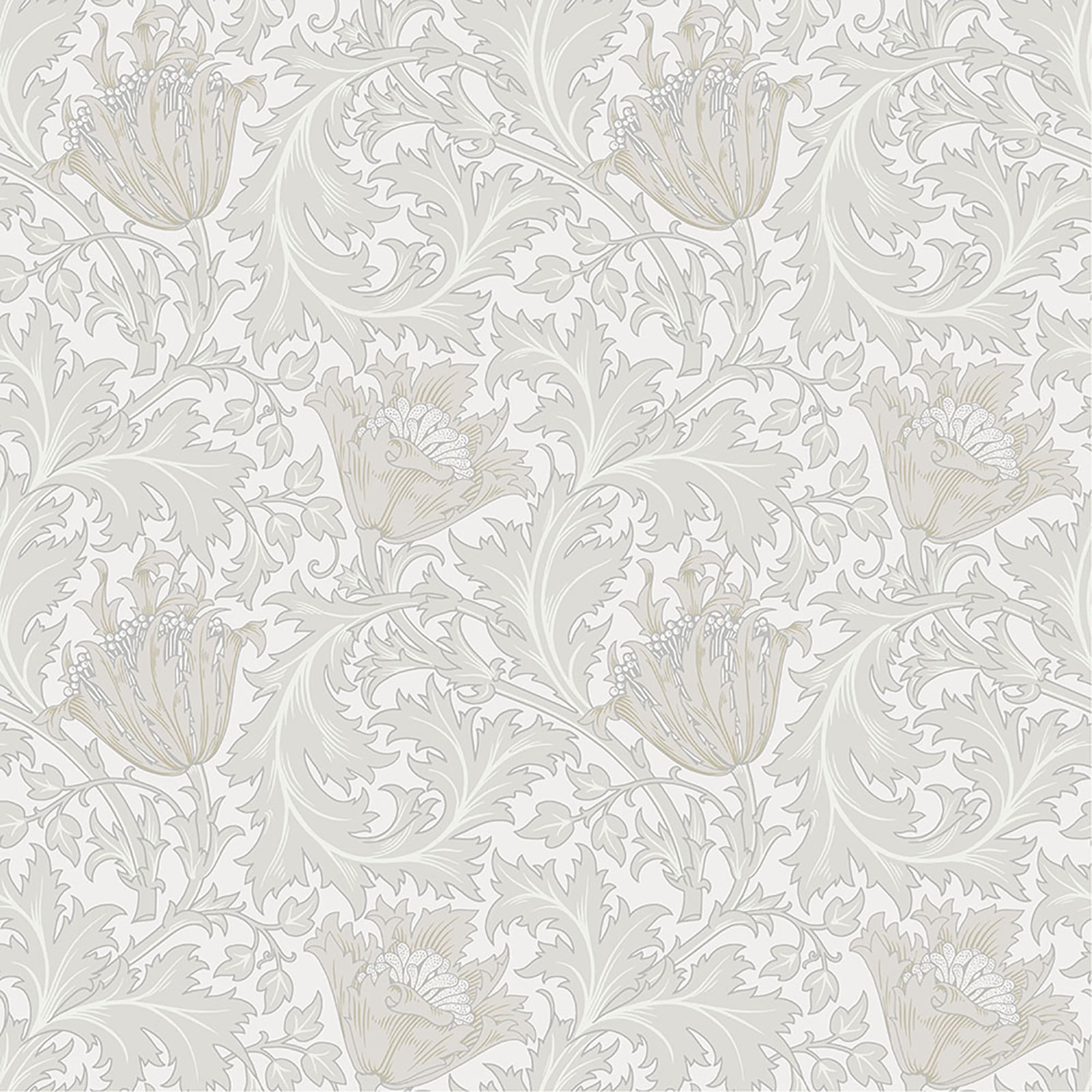 Anemone Floral Wallpaper, Dove