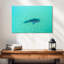 Crowle, requin baleine La Paz-111833874