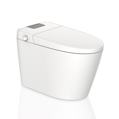 LEPUDAY 1.28 Gallons GPF Elongated Floor Mounted Bidet Toilet (Seat Included)