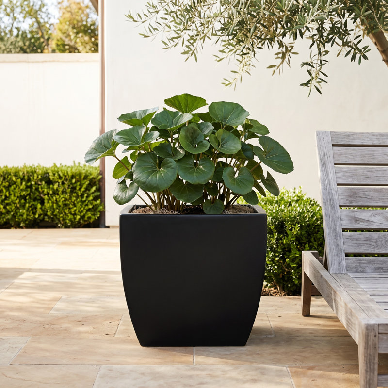 Alexy Pacifica Square Curved Planter Box, 18.5" H x 20" W x 20" D, Black