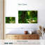 Alvord Enchanting Deep Rainforest-108887479