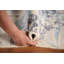 Ivory Abstract Living Room Rug 8x10