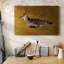 Toile tendue I-Gallery Feathered Friend-26858542