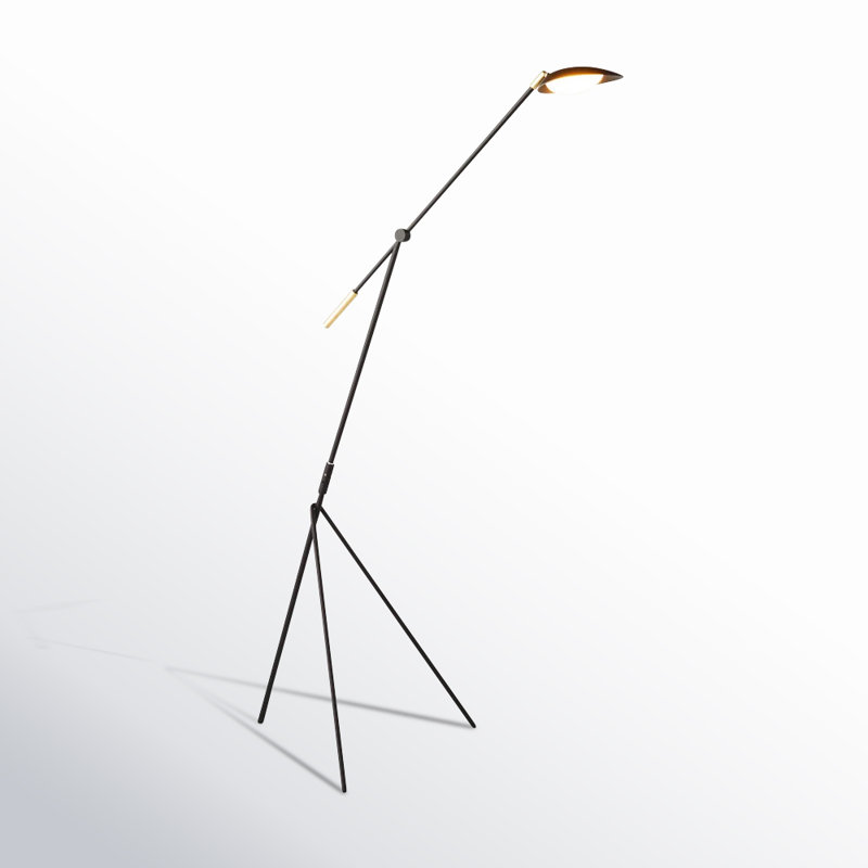 Cillian 60.5'' Black/Satin Brass LED Task Floor Lamp