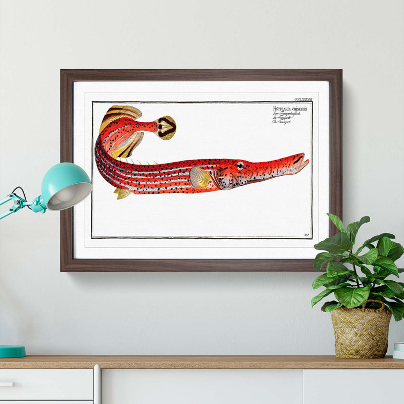 Trumpet Fish by M.E. Bloch - Framed Print, 48cm H x 65cm W x 2cm D, Walnut Framed