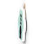 Gruia Wall Decor