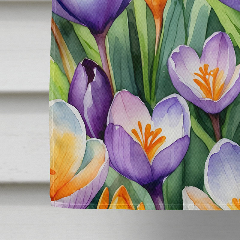 Drapeau de maison de fleurs Liatris, Fleurs de crocus