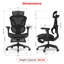 Chaise de bureau Acgam