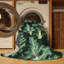  Tapis lavable Kale Brassica oleracées-524858546