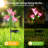Low Voltage Solar Powered Integrated LED Pathway Light Pack