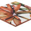 Angela Harris Wilder 7.87 In. X 7.87 In. Matte Porcelain Wall Tile (10.76 Sq. Ft. / Case)