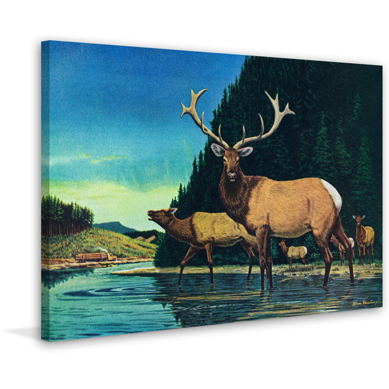 Wrapped Canvas Print, 101cm H x 152cm W x 3.81cm D
