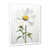 Cadre photo blanc