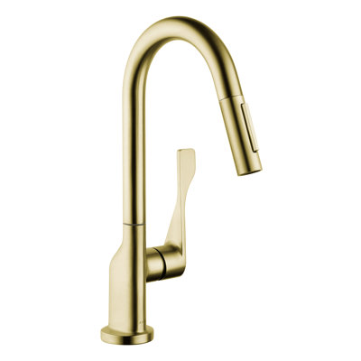 Citterio Pull Down Prep Single Handle Kitchen Faucet