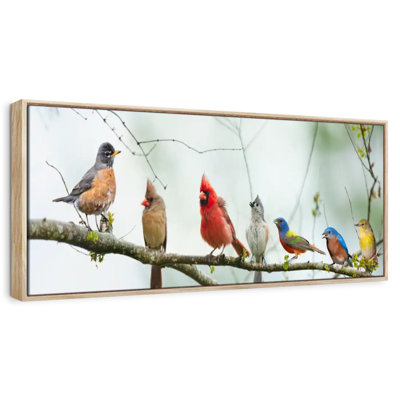 Gathering Of Birds