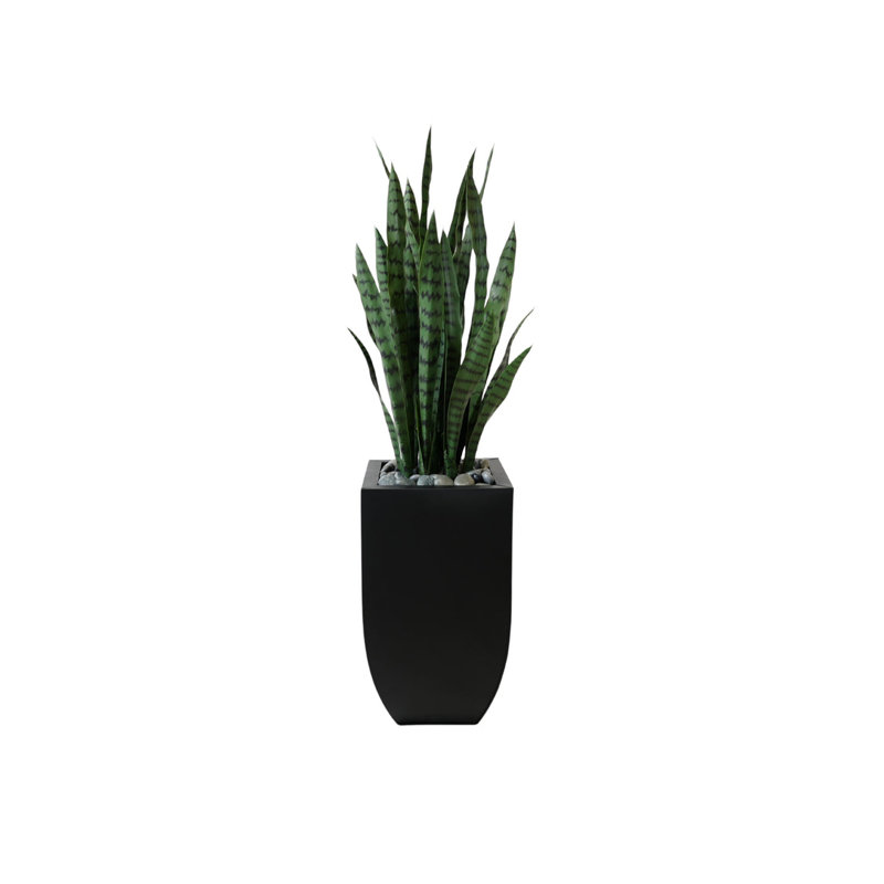 Faux Snake Plant (Sansevieria) Plant in Planter