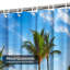 Plage, mer, beau palmier, ciel bleu, branche, nuage, côte, avec 12 crochets-248742762