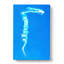Stunt Plane In Abstract - Wrapped Canvas-55340590