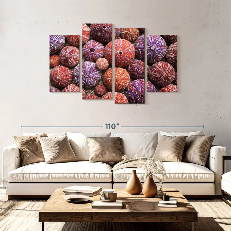 Brampt Empty Sea Urchin Shells, 48" H x 75" W