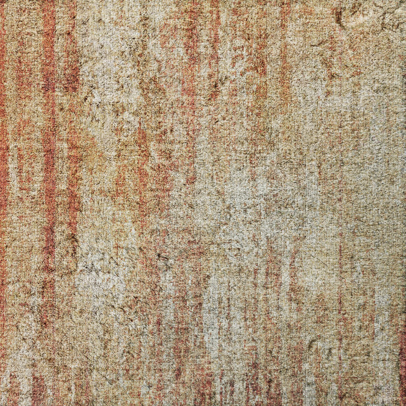 Tapis à poils longs de qualité supérieure lavable à la machine Dream ADS582, Paprika, 3' x 5'