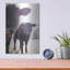  «Cow Jumelé ensemble» par Life BeautifuLEE, art mural en métal, 12 po x 16 po-2087563328
