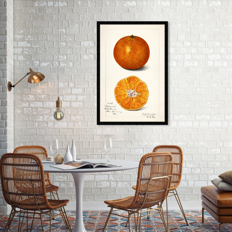 " Still Life " Graphic Art Print, 38" H x 26" W, Black