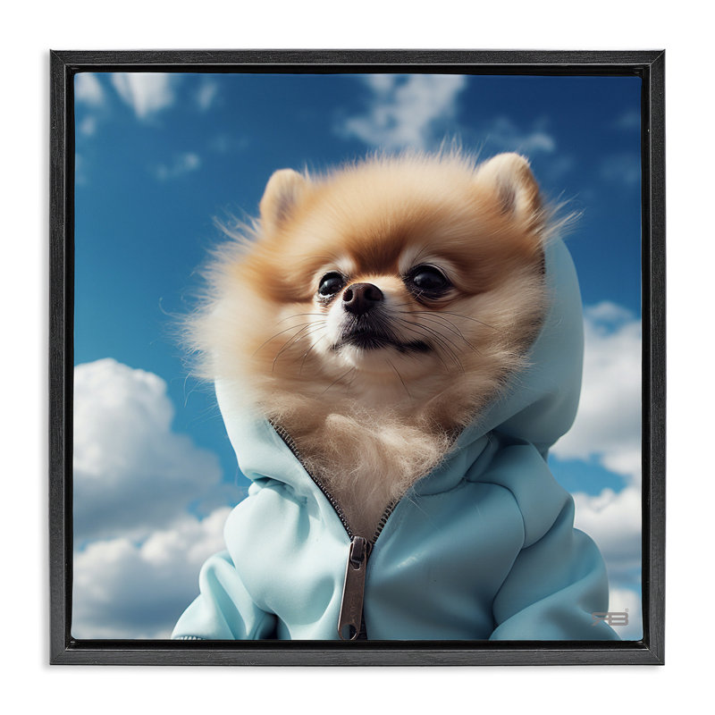 «Pomeranian Dog & Clouds», encadrée dorée sur toile flottante par Roozbeh Bahramali, Cadre flottant noir de jais