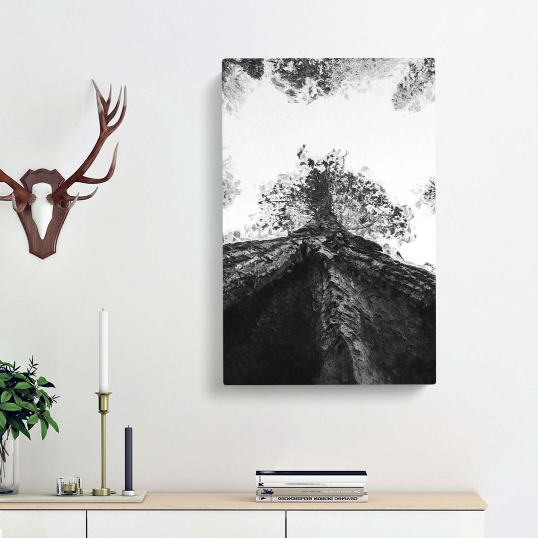 Trees In Sequoia National Park - Wrapped Canvas